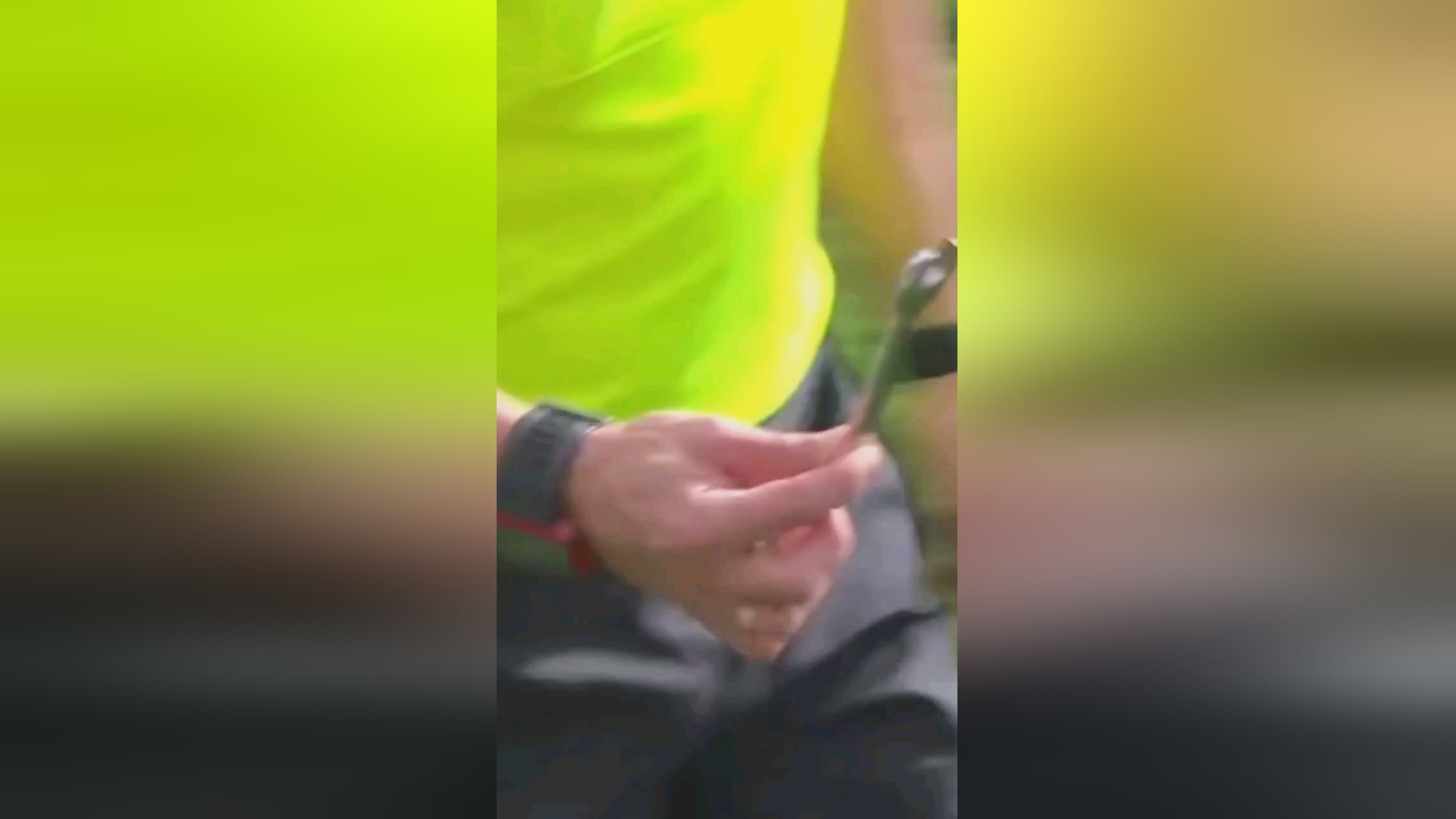 自世纪年代